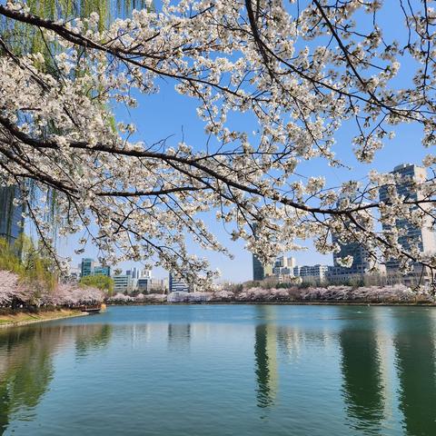 Songpa Naru Park (Seokchon Lake Park)