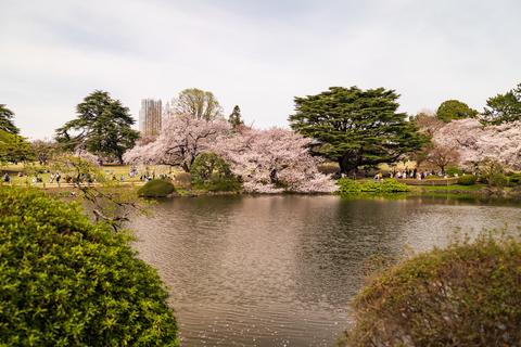 Shinjuku Gyoen National Garden